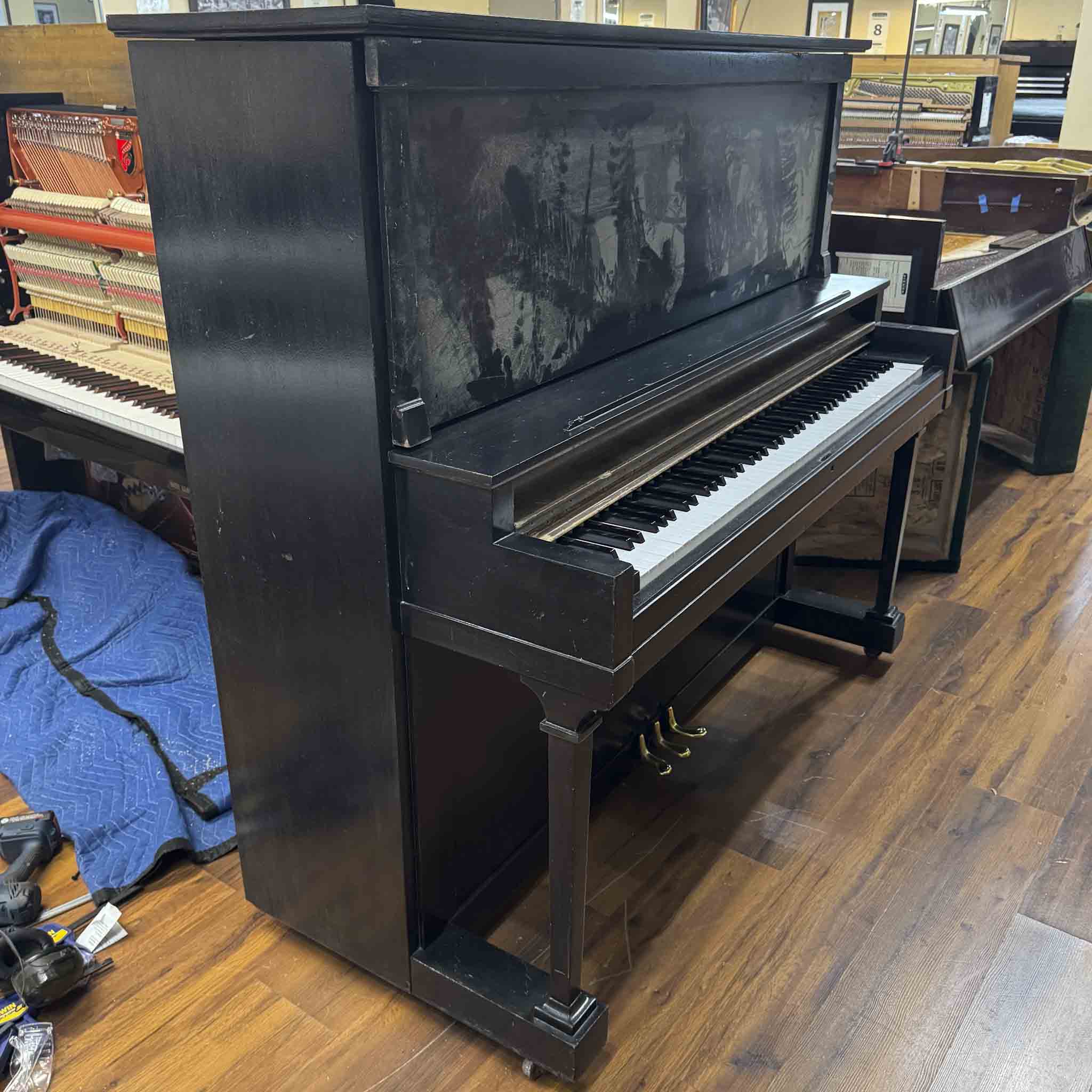 IMG_3344.jpg?v=1763481451&