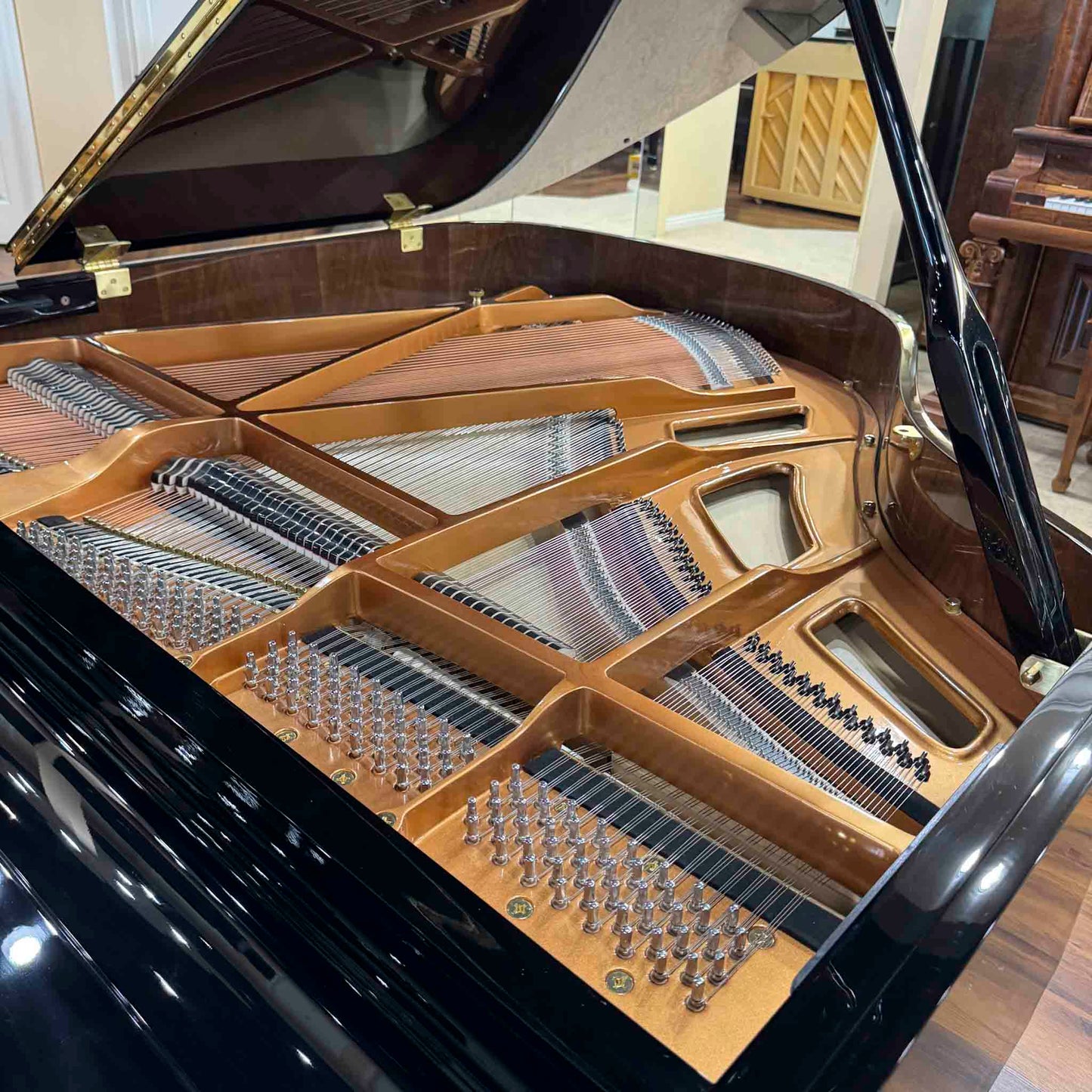 A. Geyer GG-160 5'3" Polished Black Baby Grand Piano