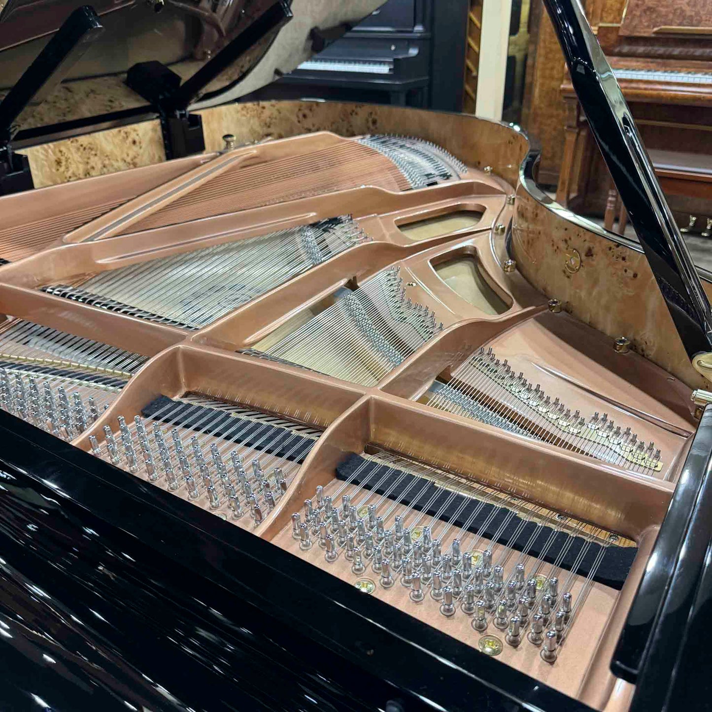 Hailun 178 5'10" Polished Black Grand Piano