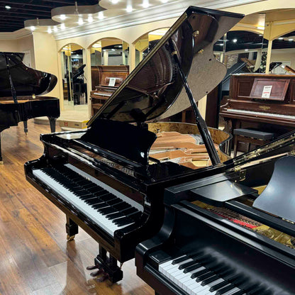 Hailun 161 5'4" Polished Black Grand Piano