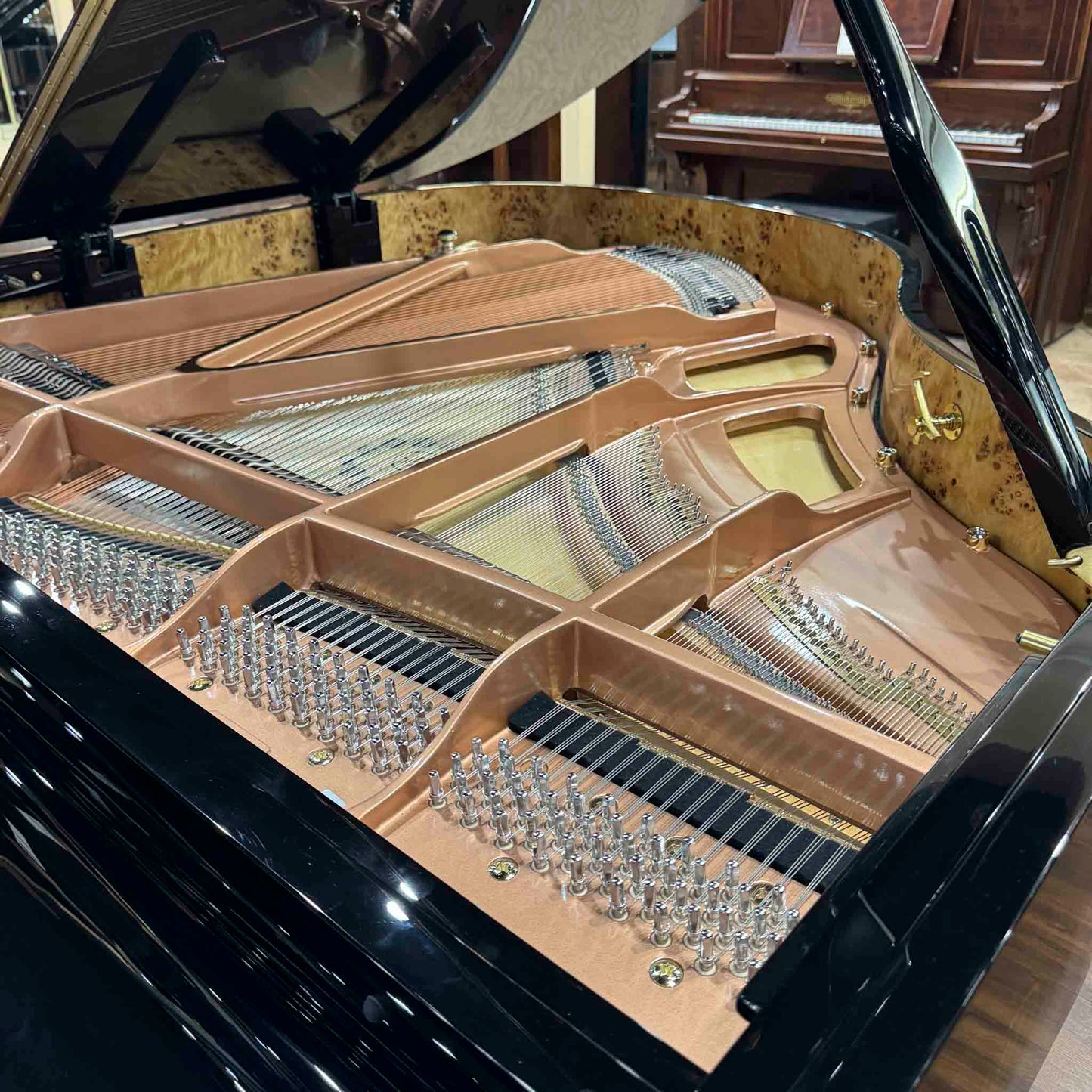 Hailun 161 5'4" Polished Black Grand Piano