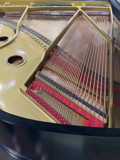 HEIRLOOM RESTORATION 1922 Baldwin R 5'8" Black Satin Commissioned Grand Piano