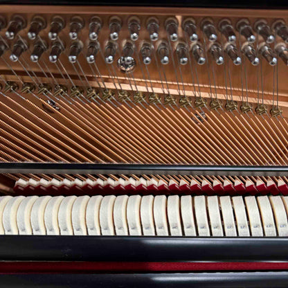 SOLD Hailun 5P 50" Polished Black Upright Piano