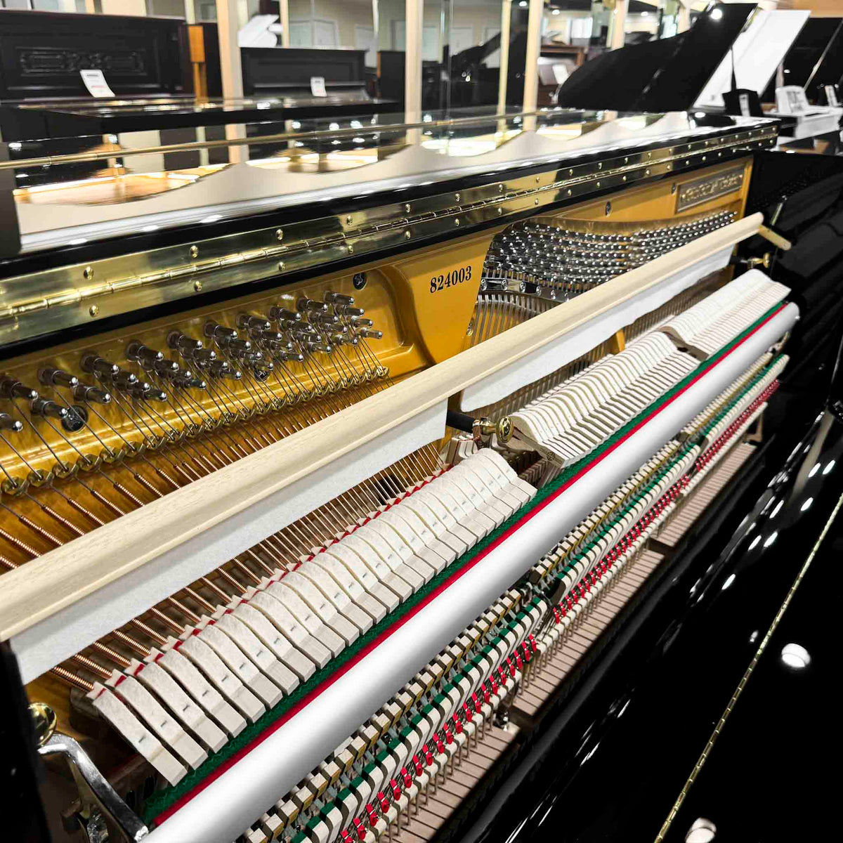 NEW Gebruder Schulz G-30 51" Upright photo 2