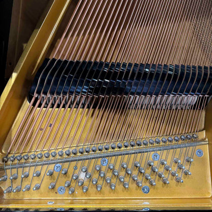 1989 Schafer & Sons SS-51 5'1" Polished Black Baby Grand Piano