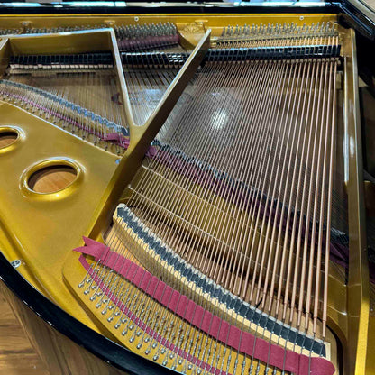 1989 Schafer & Sons SS-51 5'1" Polished Black Baby Grand Piano