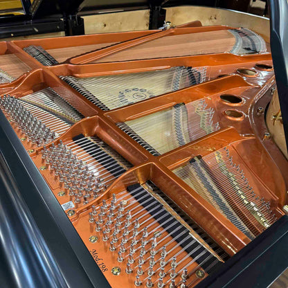 SOLD Hailun 198 6'6" Satin Black Grand Piano With Self-Playing QRS System
