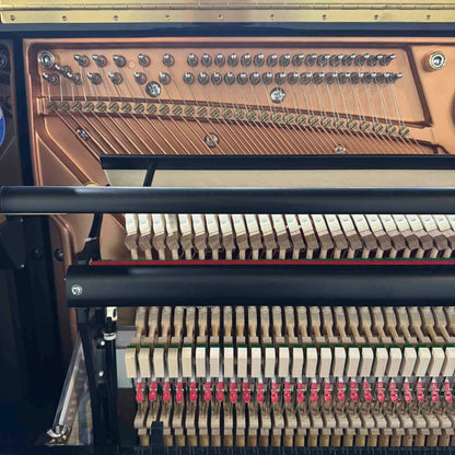 Hailun 5P 50" Polished Black Upright Piano