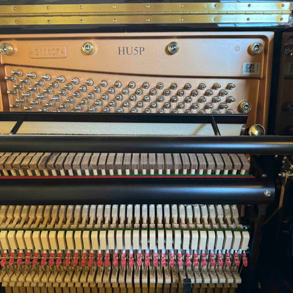 Hailun 5P 50" Polished Black Upright Piano