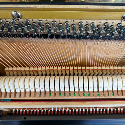 HEIRLOOM RESTORATION 1860's Bernareggi 49" Black Wood Finish Commissioned Upright Piano