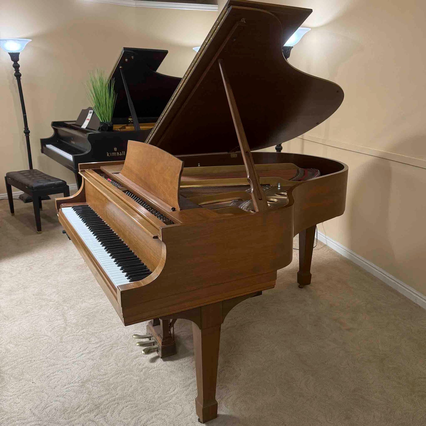 AVAILABLE TO RESTORE: CALL FOR CUSTOM PRICING - 1977 Steinway & Sons M 5'6" Walnut Finish Player Grand Piano