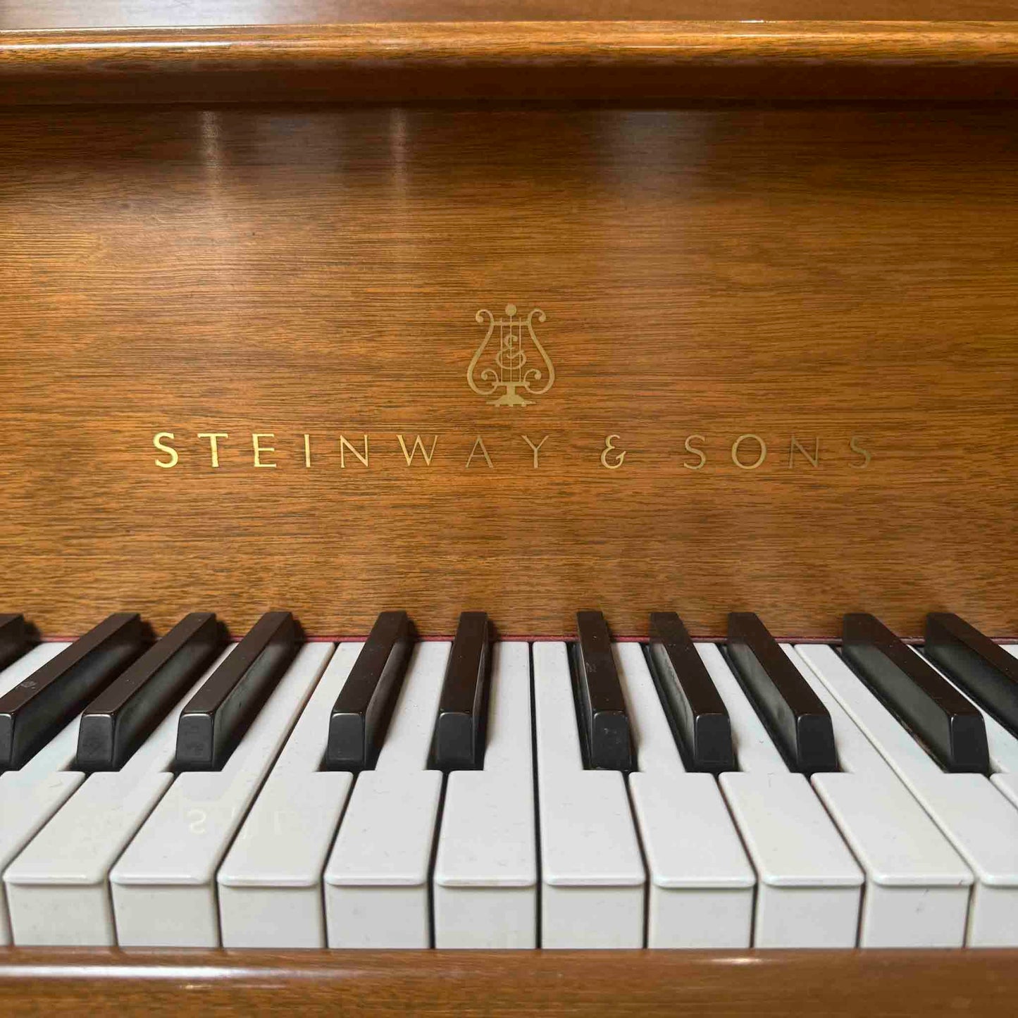 AVAILABLE TO RESTORE: CALL FOR CUSTOM PRICING - 1977 Steinway & Sons M 5'6" Walnut Finish Player Grand Piano