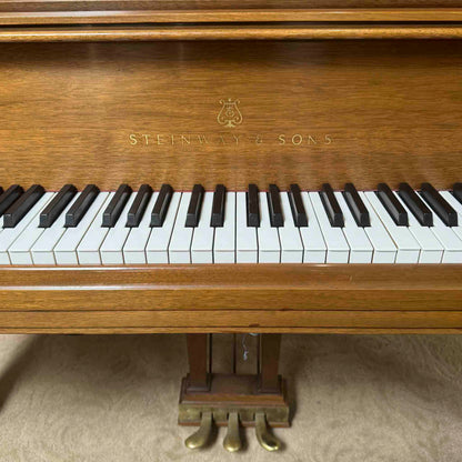 AVAILABLE TO RESTORE: CALL FOR CUSTOM PRICING - 1977 Steinway & Sons M 5'6" Walnut Finish Player Grand Piano