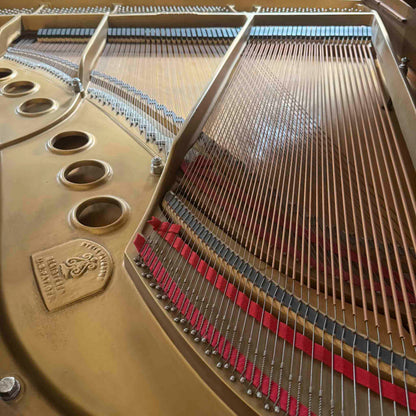 AVAILABLE TO RESTORE: CALL FOR CUSTOM PRICING - 1977 Steinway & Sons M 5'6" Walnut Finish Player Grand Piano