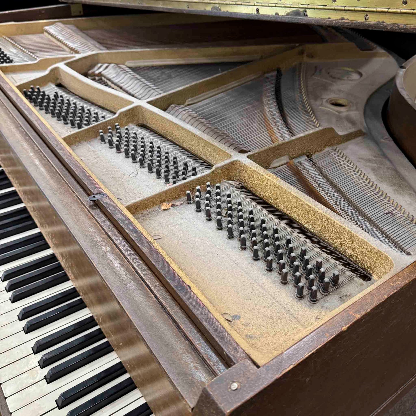 CURRENT SHOP WORK 1922 Wurlitzer 4'6" Wood Finish Commissioned Baby Grand Piano