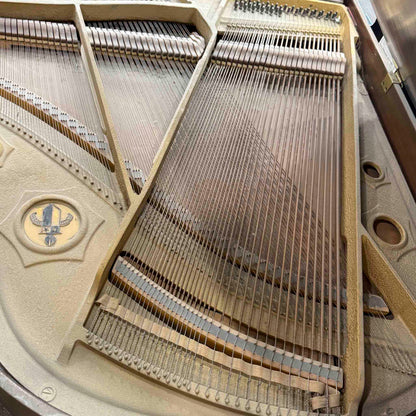 CURRENT SHOP WORK 1922 Wurlitzer 4'6" Wood Finish Commissioned Baby Grand Piano