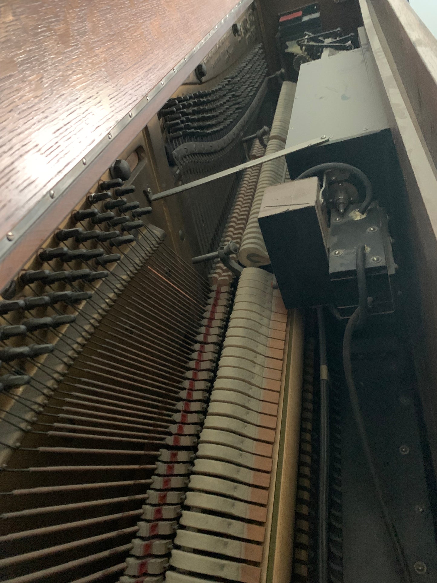 The Curtis Family Piano!