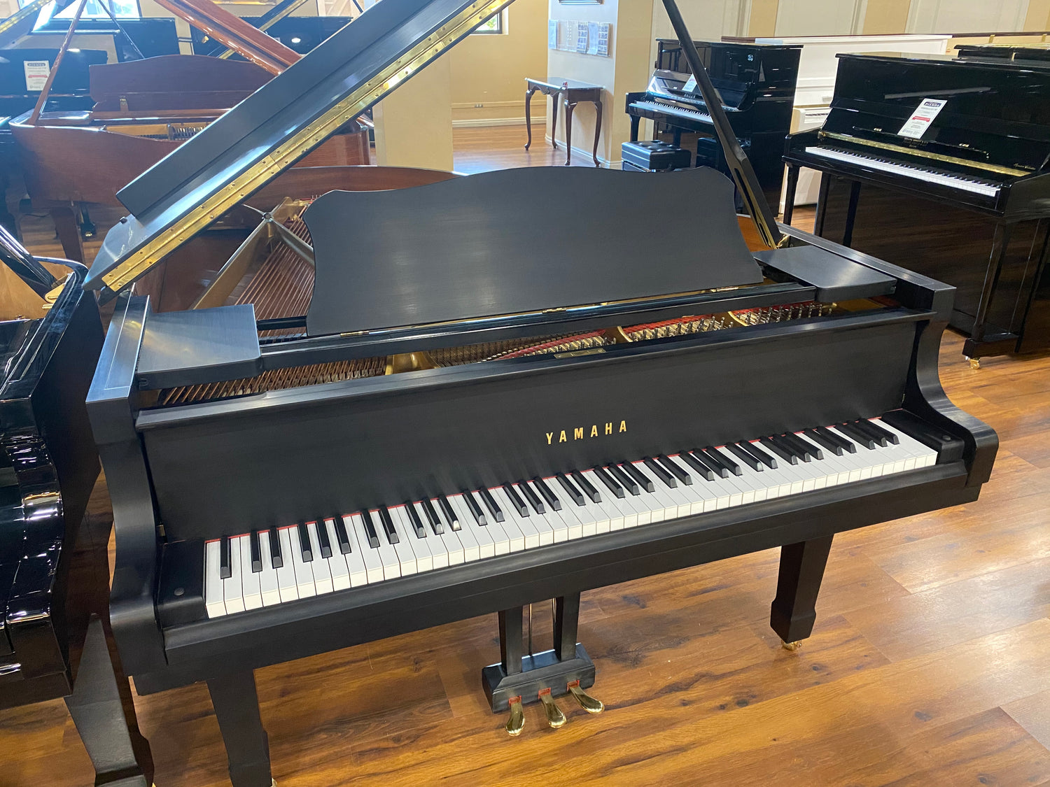 Black Yamaha C3 grand piano in a showroom setting with other pianos.