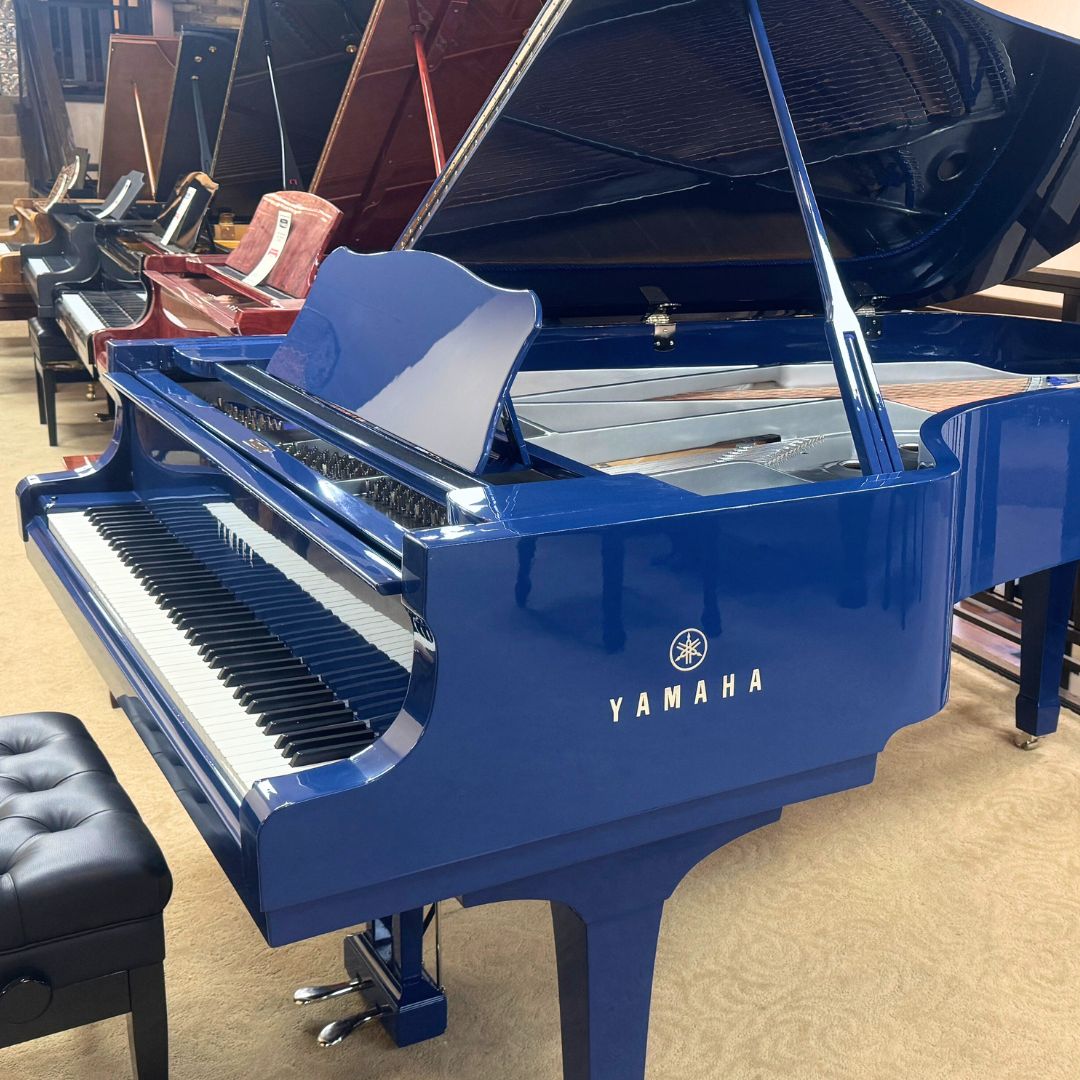 Blue yamaha c7 grand piano in a showroom setting.