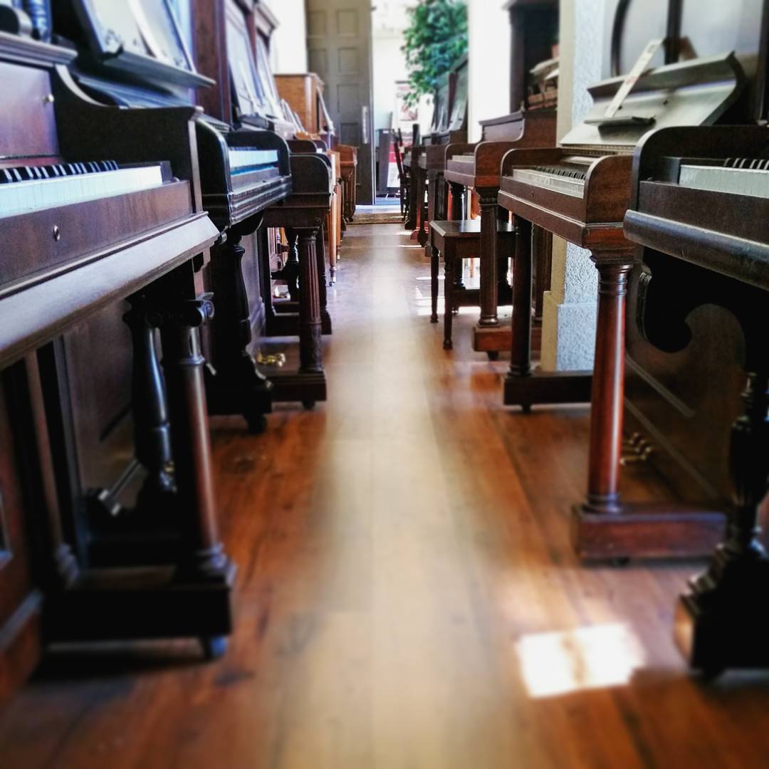 Brigham Larson Pianos showroom of grand and upright pianos for sale new and refurbished or restored pianos, beautiful lined up in rows for sale pianos.