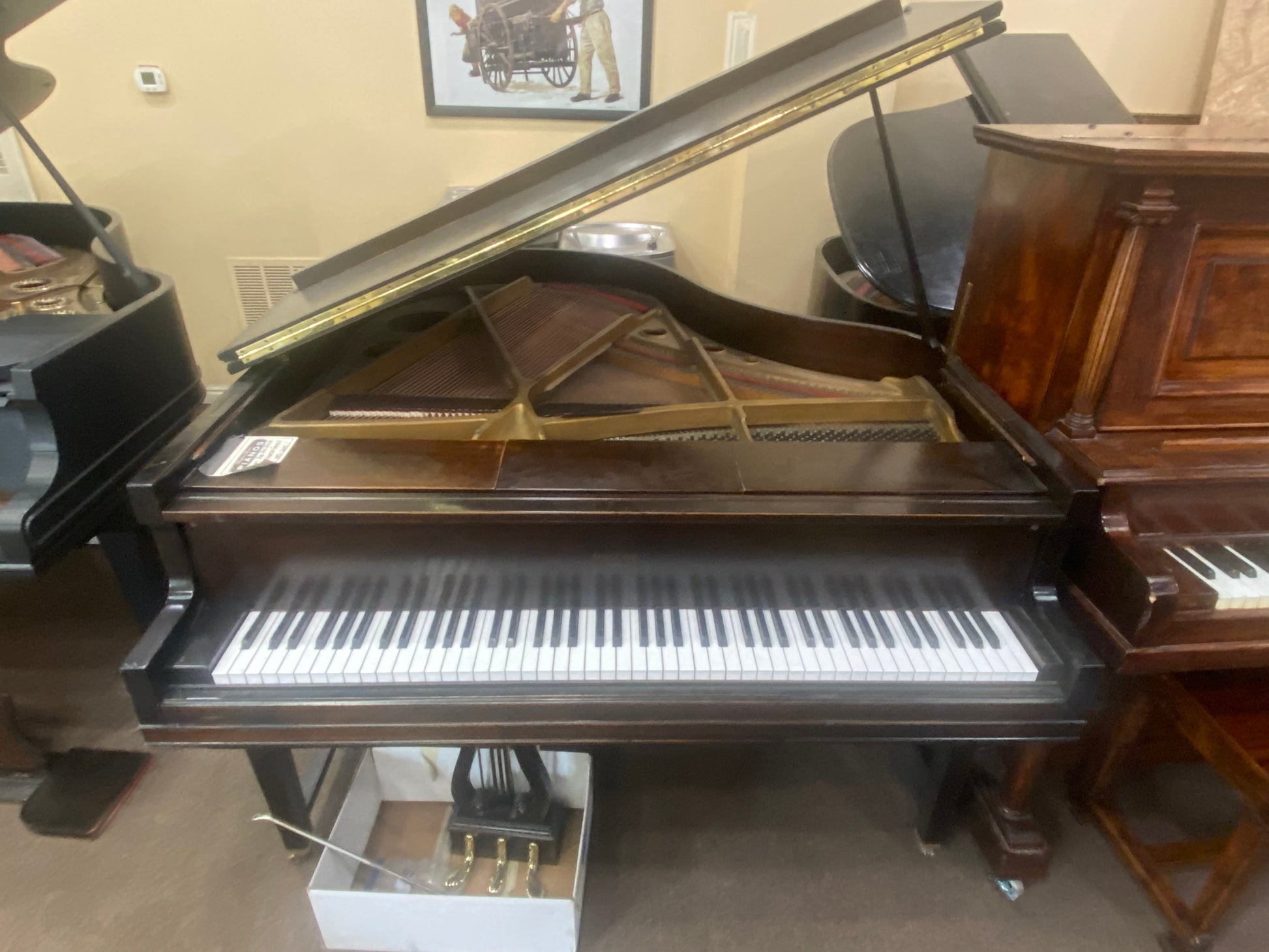 Image 4 of Aeolian Duo Art Steck Player Grand 