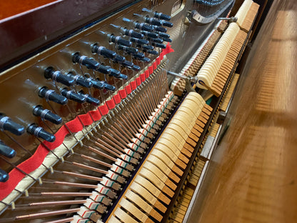 Image 24 of 1903 Gerhard Upright / 57"