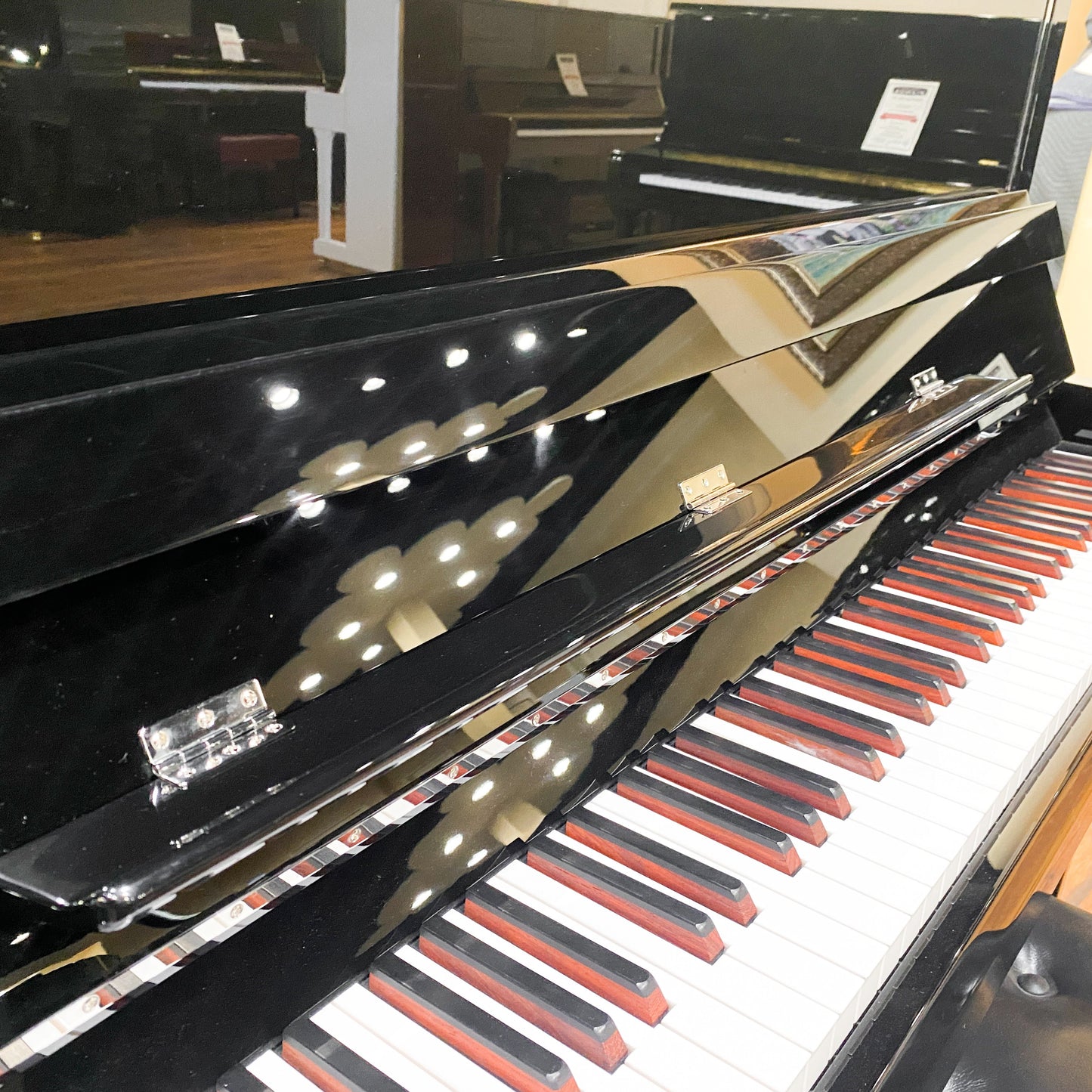 Image 5 of Hailun VI26 Polished Black
