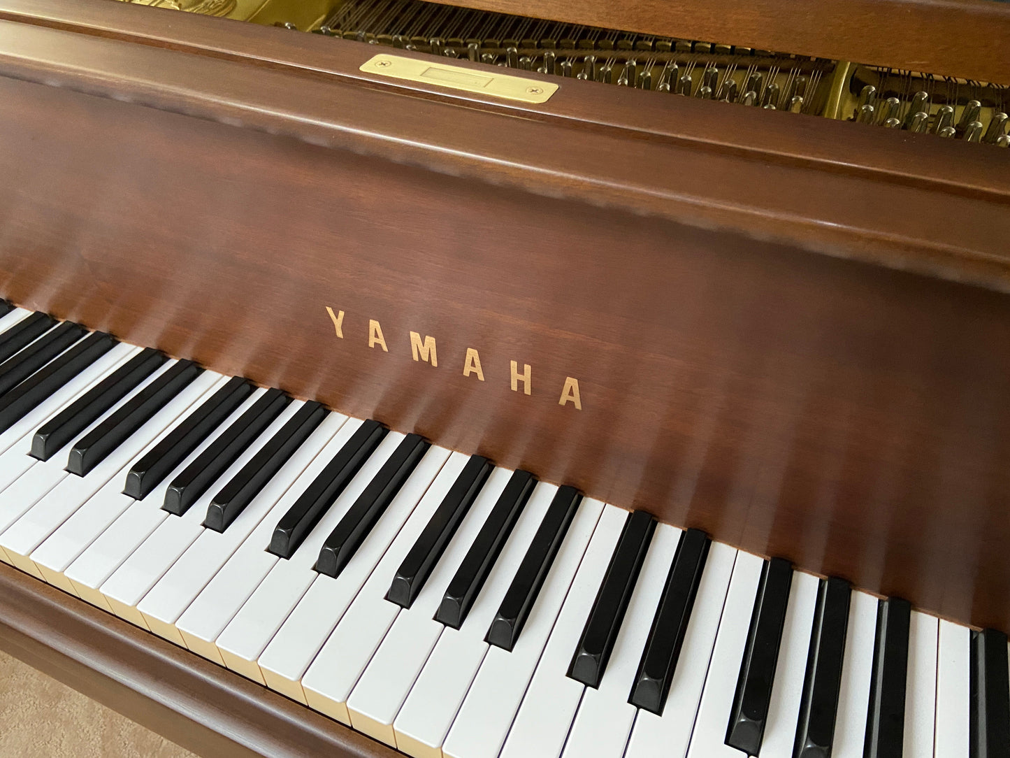 Image 2 of 1985 Yamaha G1 Grand (Dark Walnut) 5'3