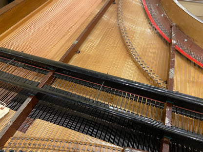 Image 2 of Unique Restoration - Produktiv Genossenschaft Grand Piano from Vienna