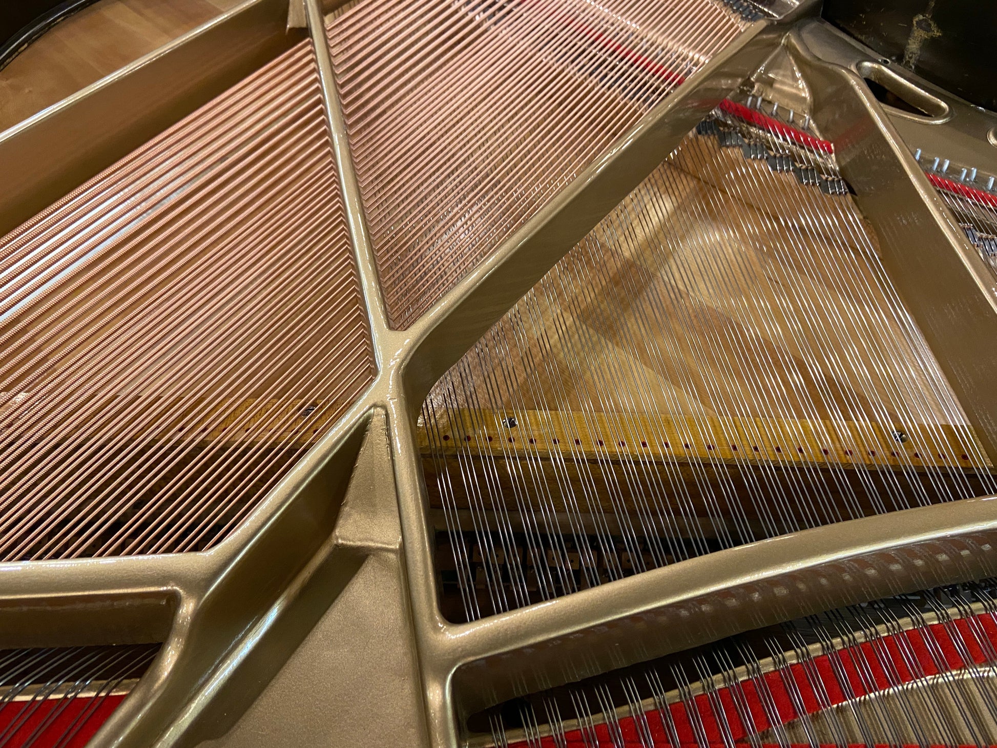 Image 2 of Bauer Brothers Grand