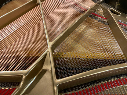 Image 2 of Bauer Brothers Grand