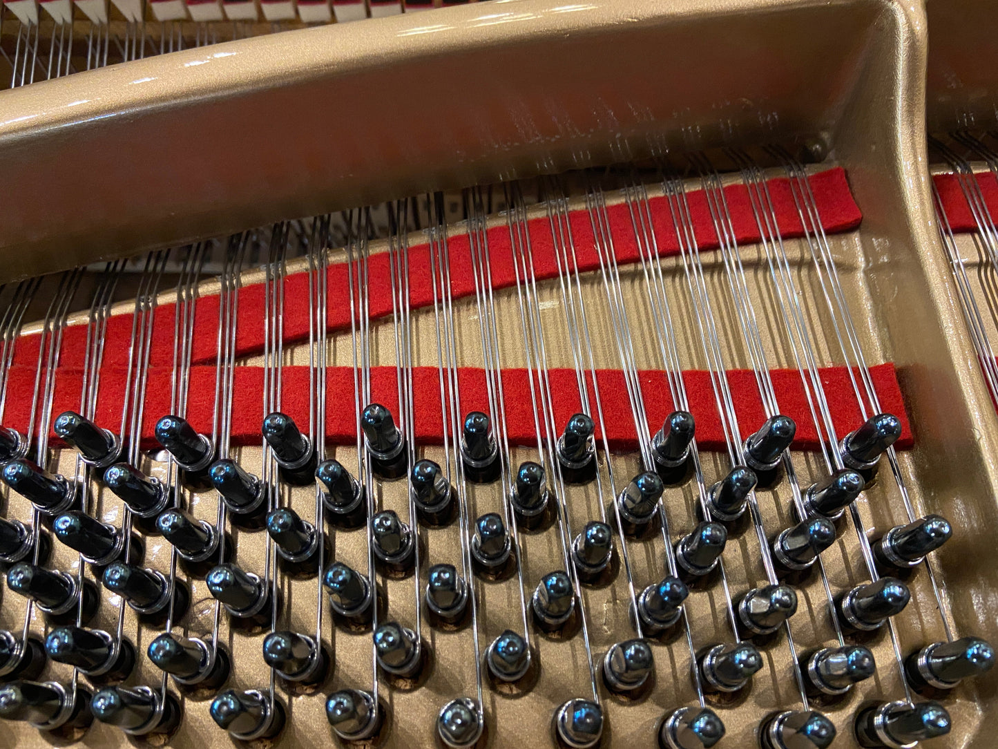 Image 3 of Bauer Brothers Grand