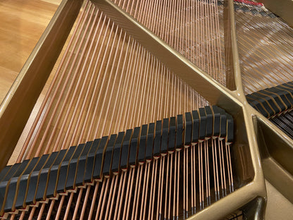 Image 4 of Bauer Brothers Grand