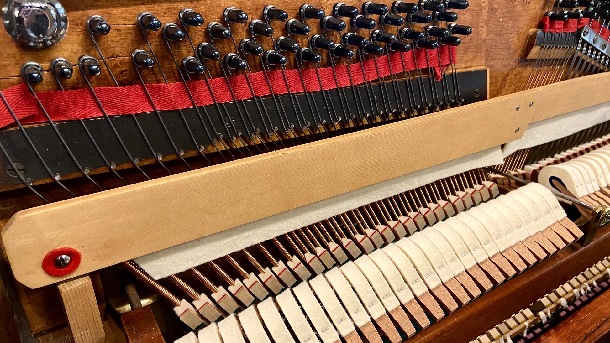 Image 8 of Restoring Grandma's Legacy of Sacrificing for Music!