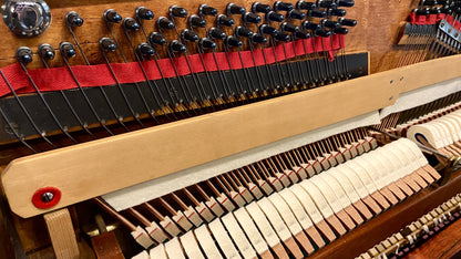 Image 8 of Restoring Grandma's Legacy of Sacrificing for Music!