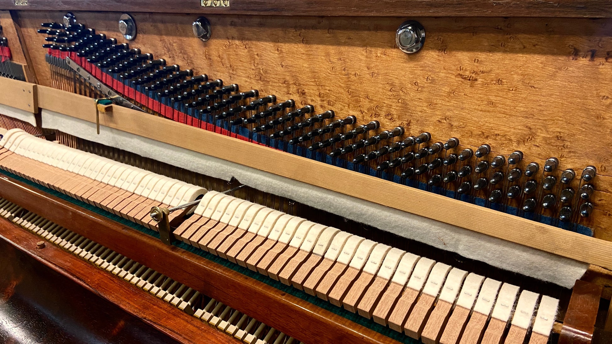 Image 9 of Restoring Grandma's Legacy of Sacrificing for Music!