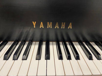 Image 8 of 1969 Satin Yamaha G2 5'8"