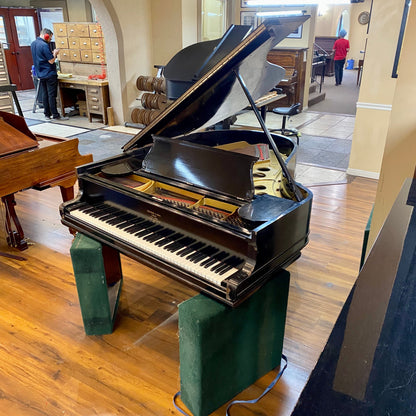 Image 2 of 1905 Steinway Grand