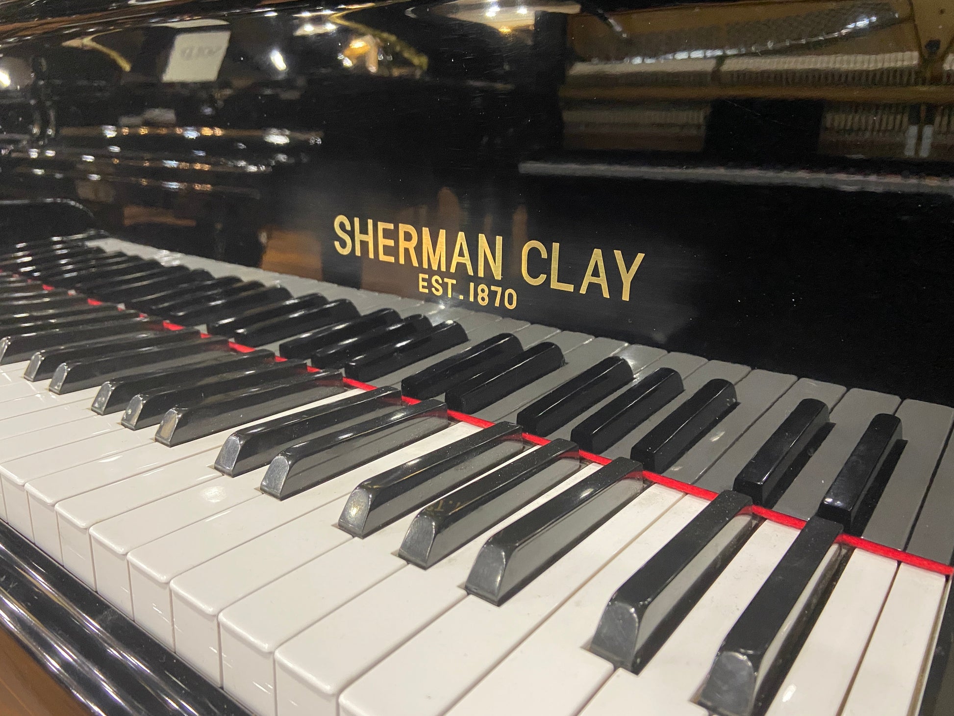 Image 4 of 1986 Sherman Clay 5'9" / Polished Ebony 5'9"