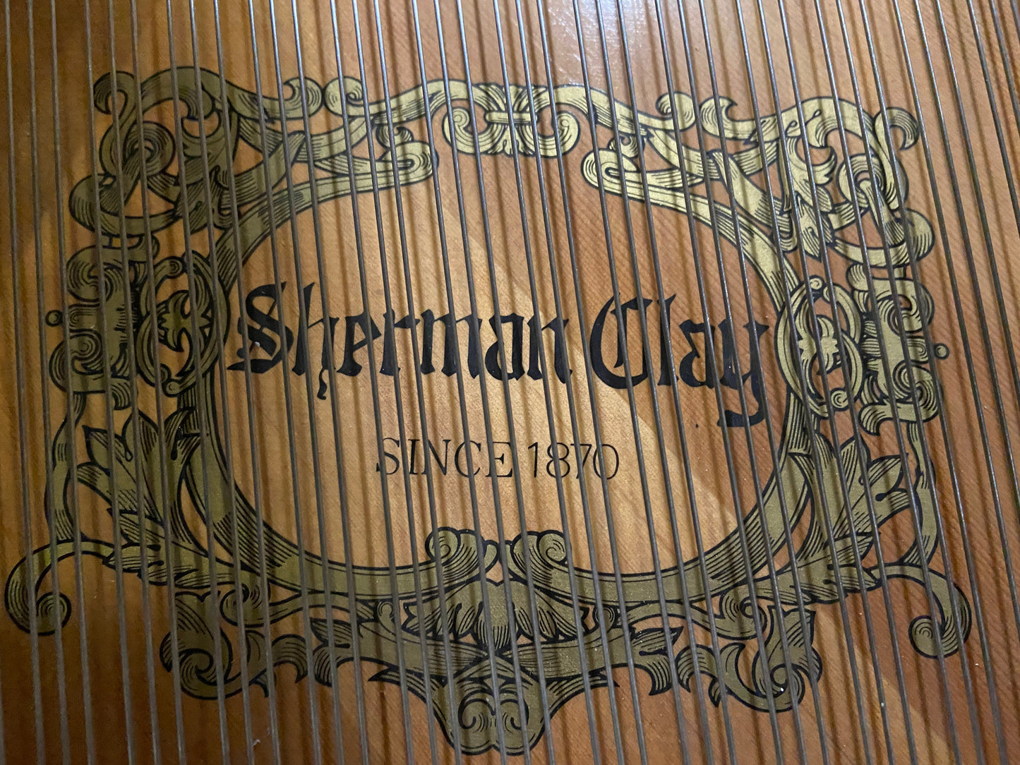 Image 10 of 1986 Sherman Clay 5'9" / Polished Ebony 5'9"