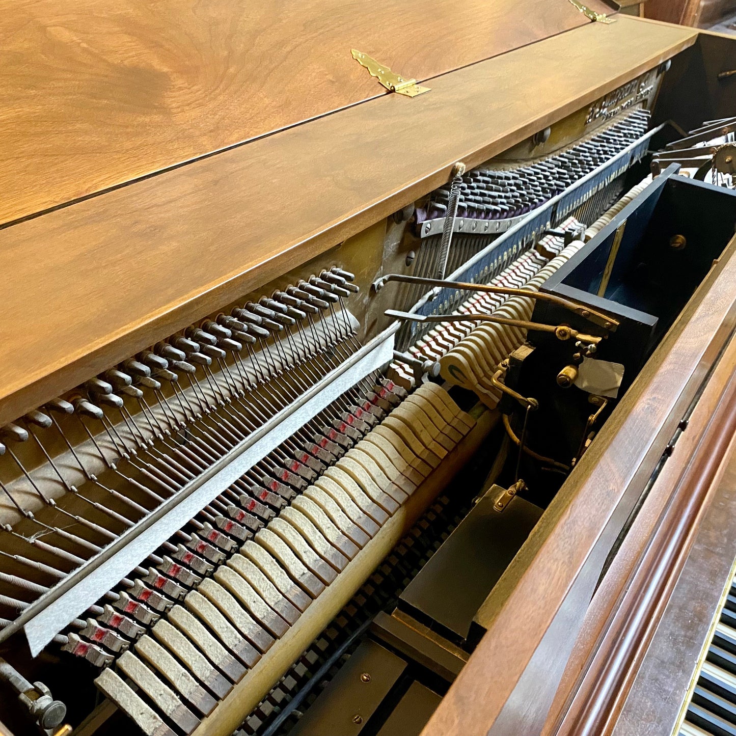 Image 9 of Like New Grand Piano