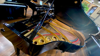 Image 12 of 1986 Sherman Clay 5'9" / Polished Ebony 5'9"