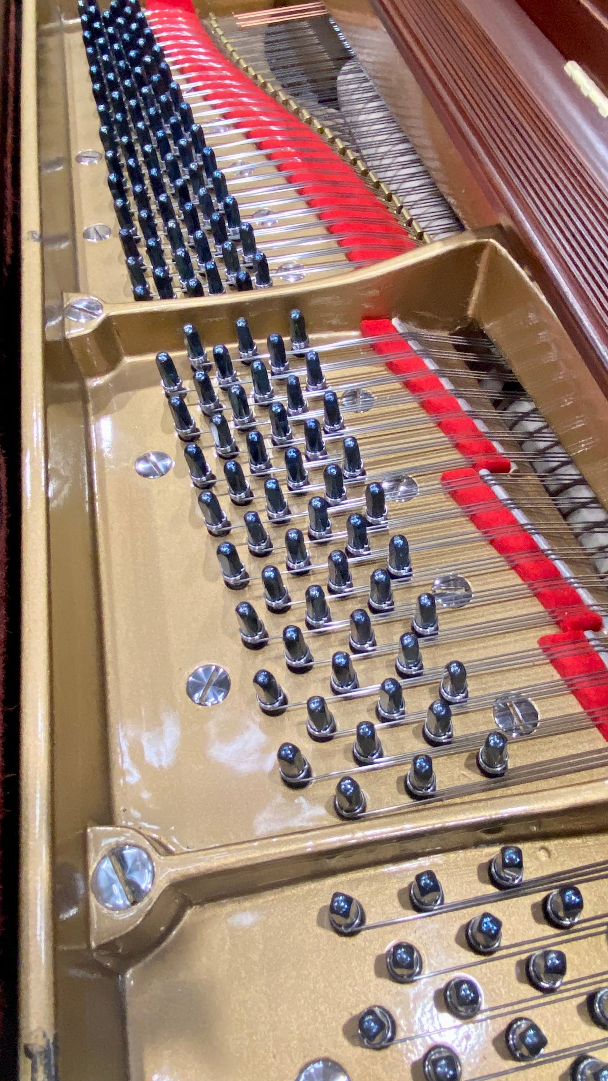 Image 10 of 1917 Steinway M