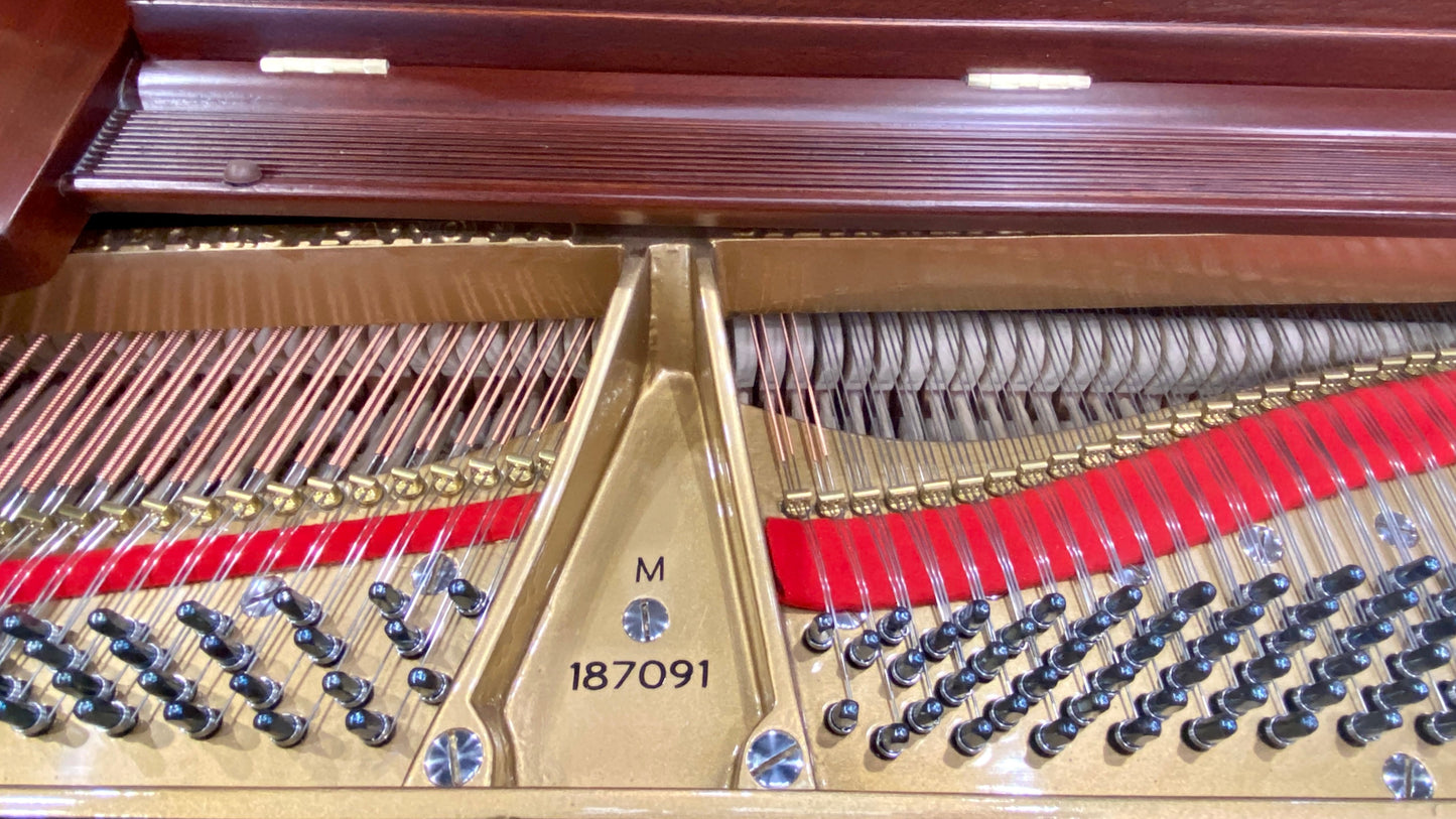 Image 11 of 1917 Steinway M