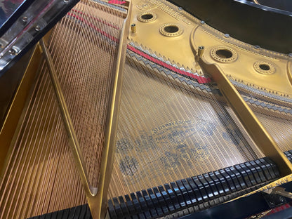 Image 3 of 1902 Steinway Grand/6'2"