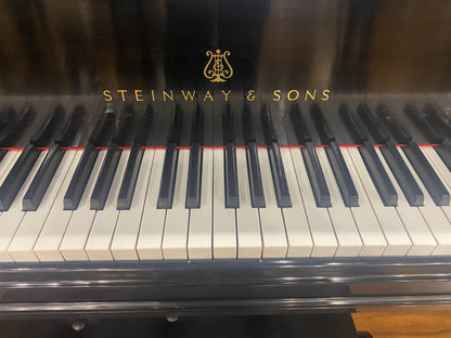 Image 4 of 1902 Steinway Grand/6'2"
