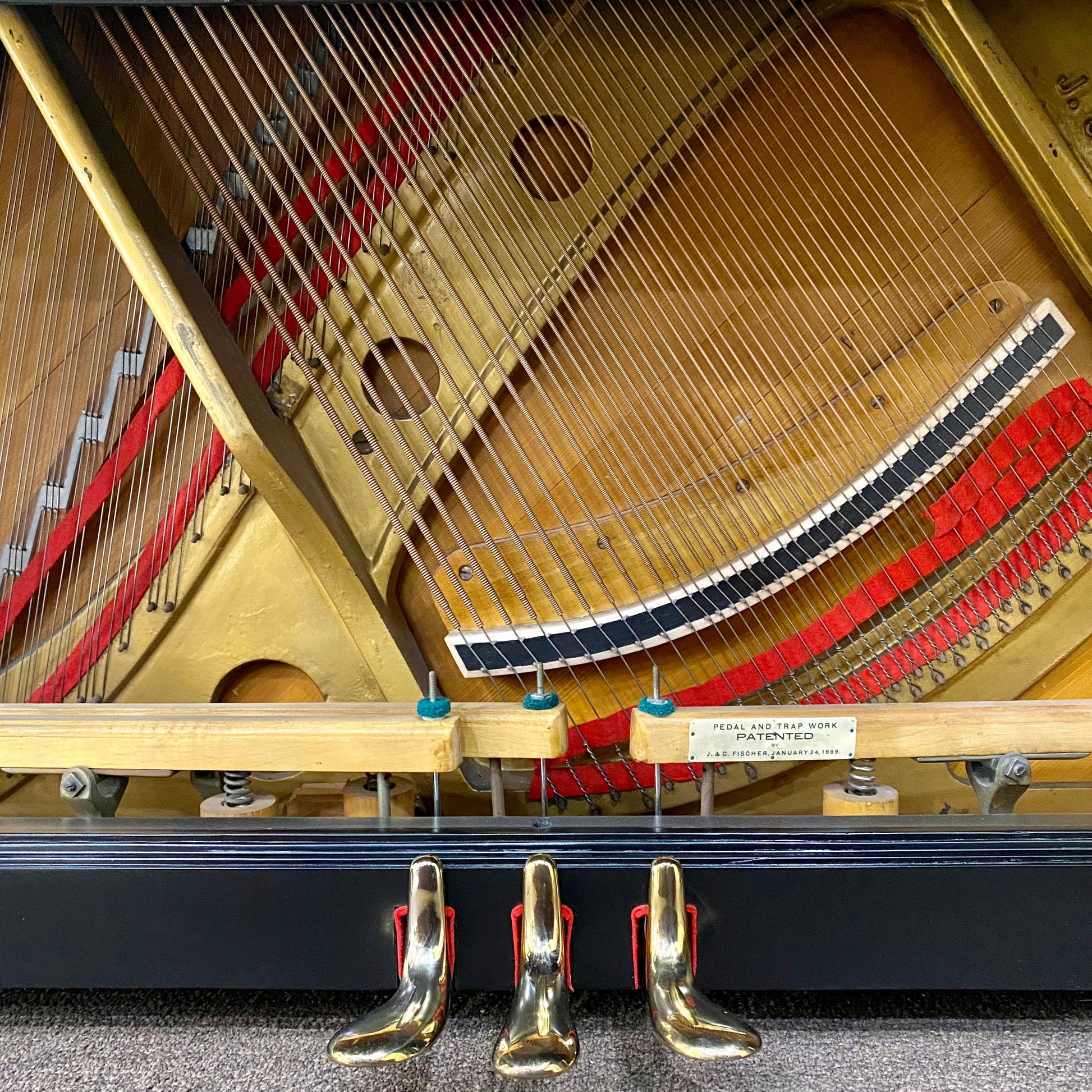 Image 6 of 1903 Fischer 57" Satin Ebony