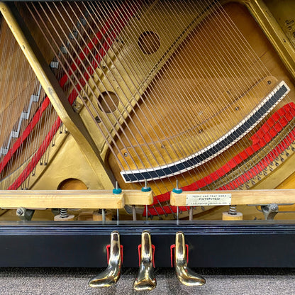 Image 6 of 1903 Fischer 57" Satin Ebony