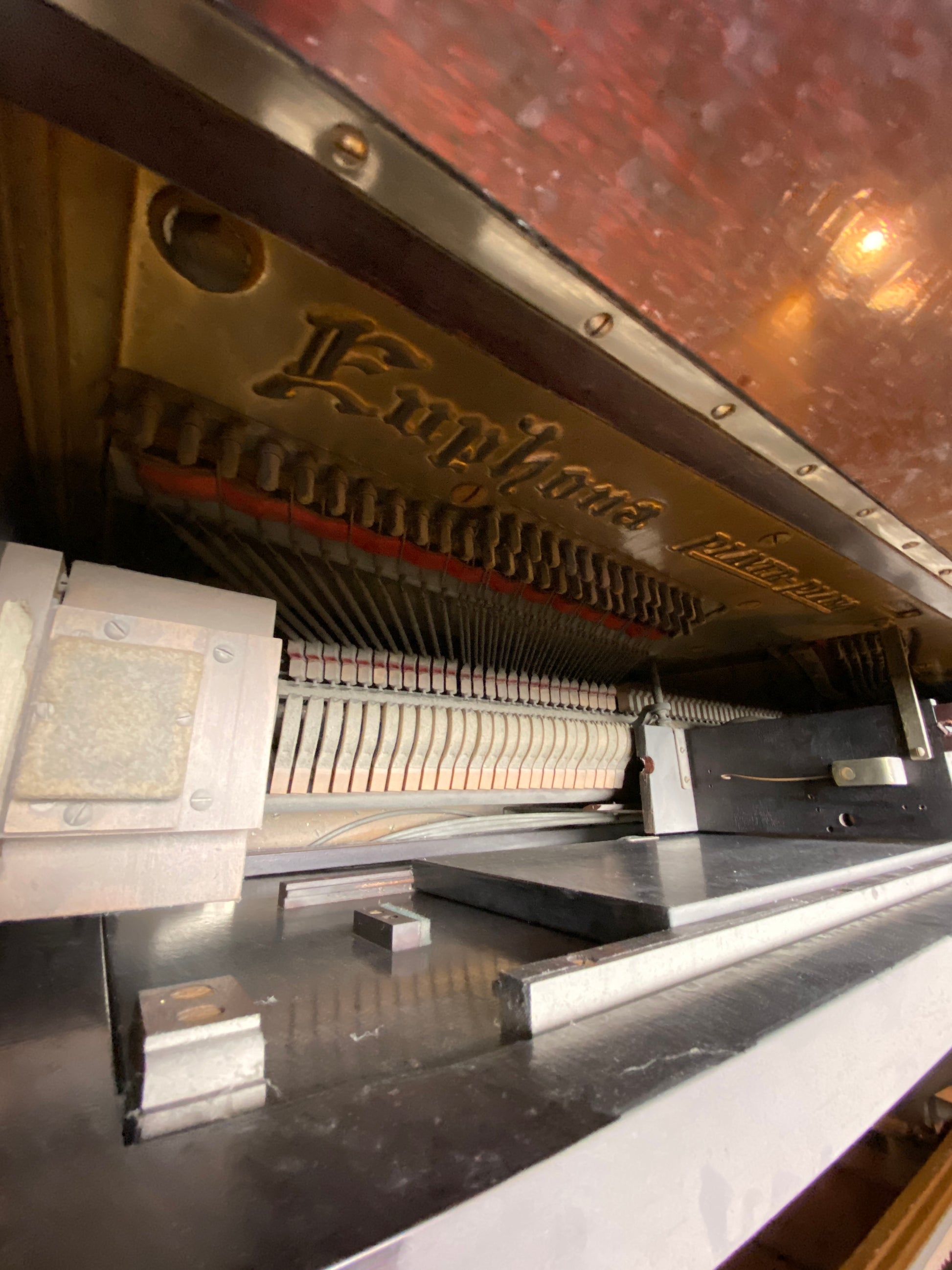Image 5 of 1911 Euphona
by Cable Company