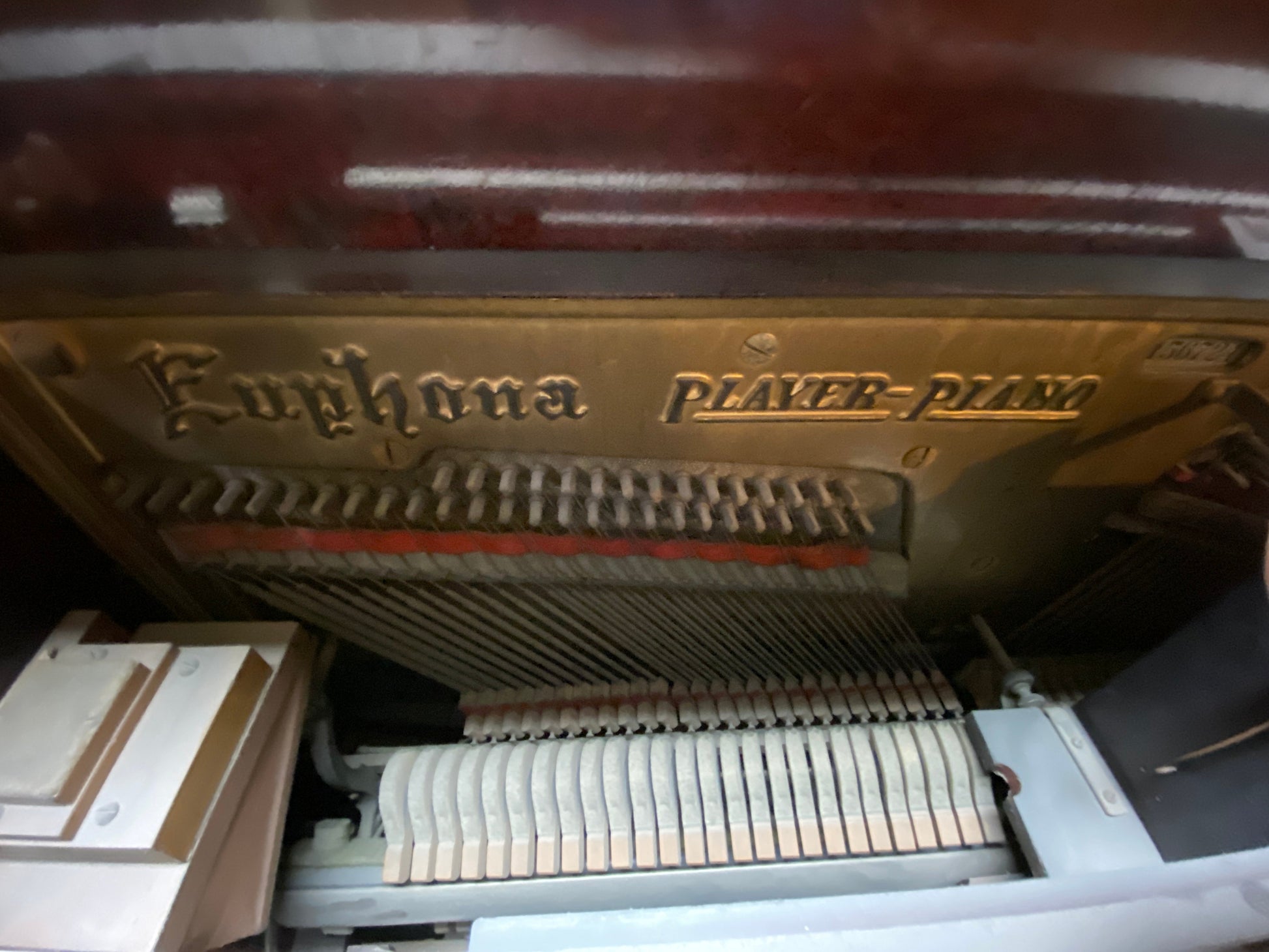 Image 6 of 1911 Euphona
by Cable Company